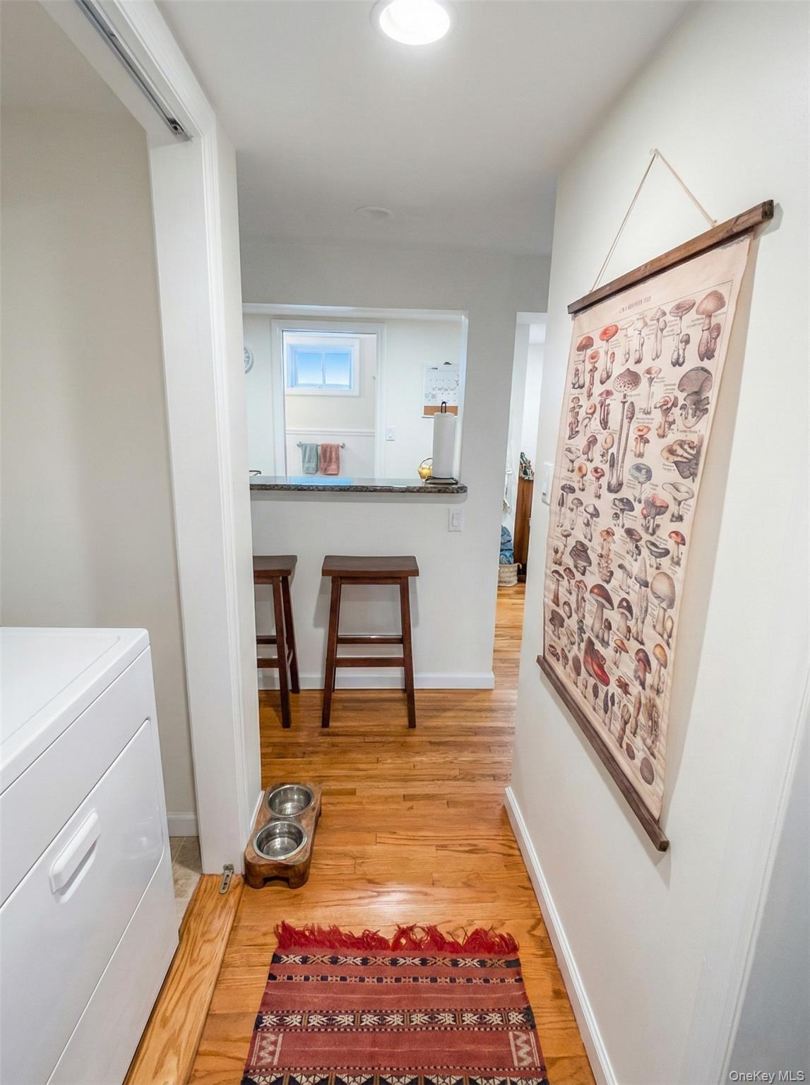 #12 photo, 14 Central Avenue, 紐約州 Nyack , NY 10960