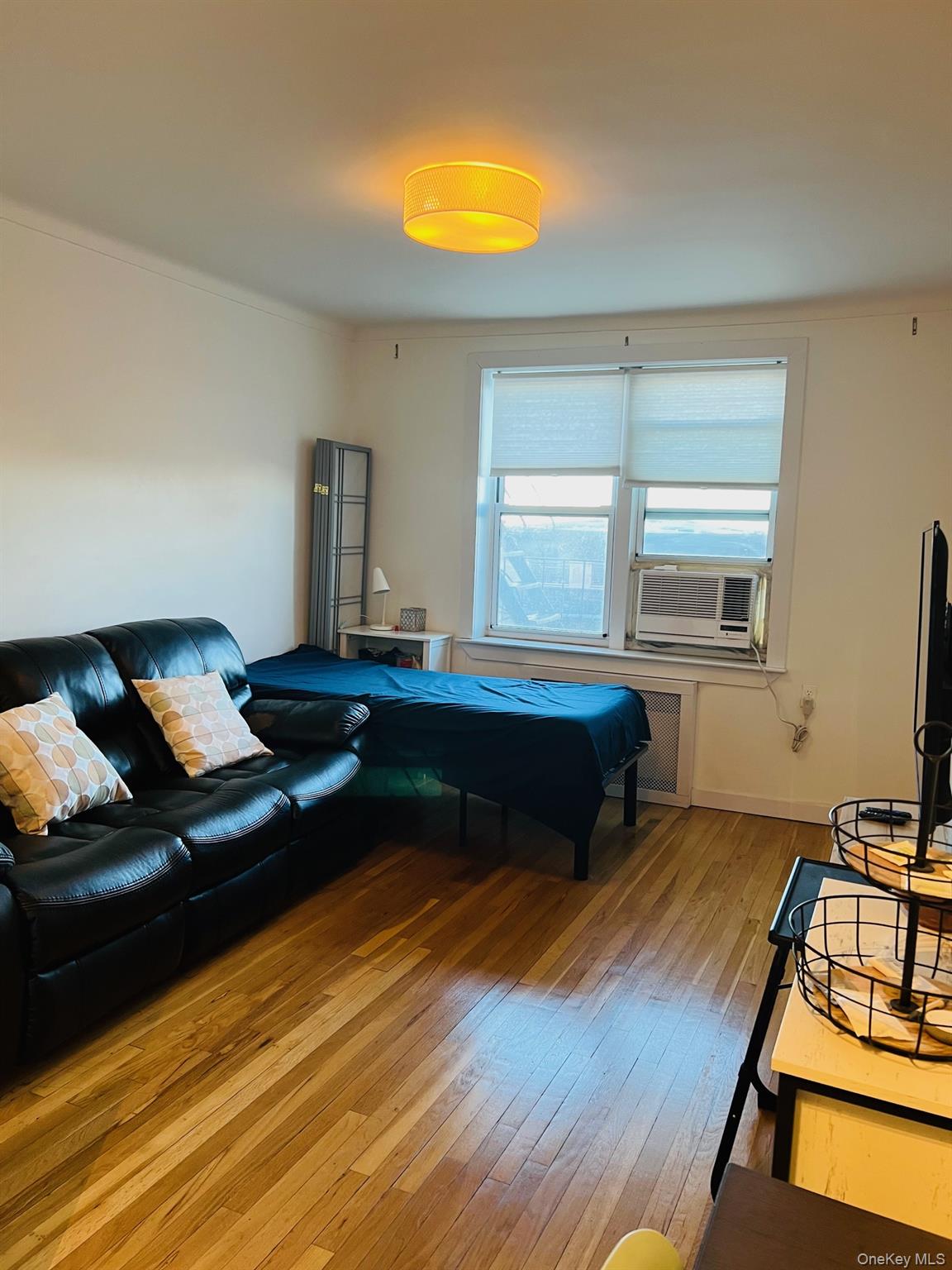 #10 photo, 110-20 71st Avenue, Forest Hills , NY 11375