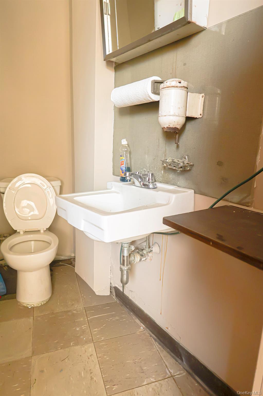 #10 photo, 415 Clinton Street, Hempstead , NY 11550