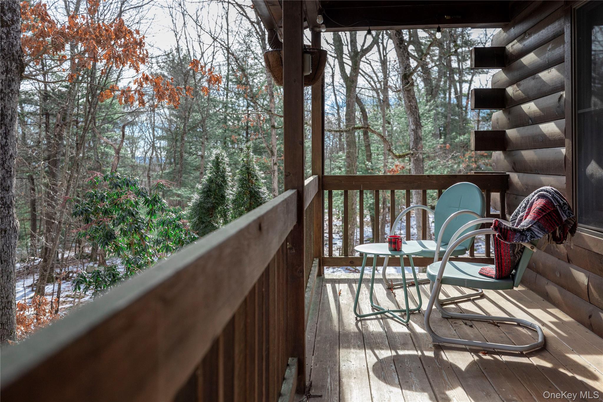 #4 photo, 343 Decker Road, Glen Spey , NY 12737