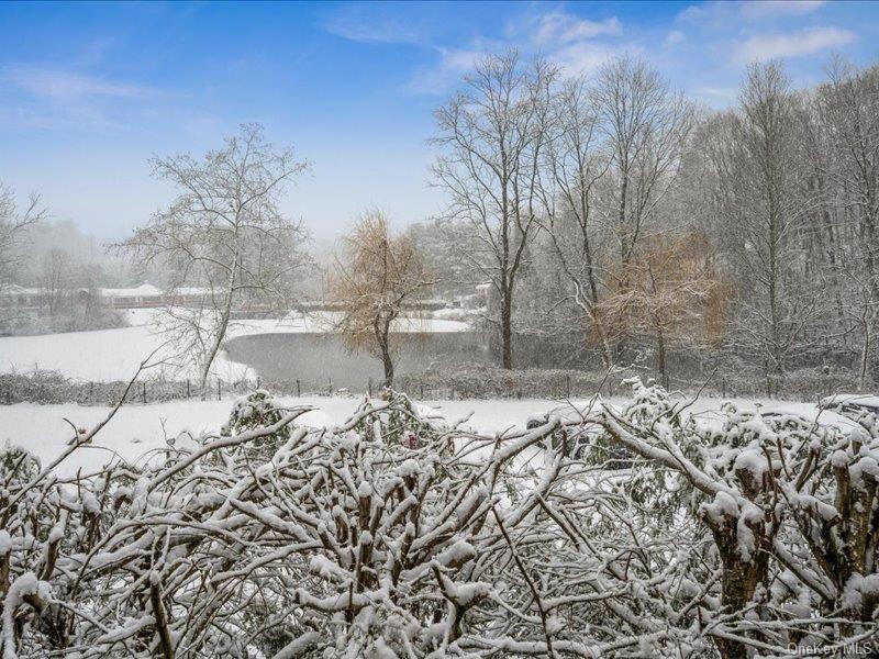 #17 photo, 9 Dove Court, Croton-on-Hudson , NY 10520