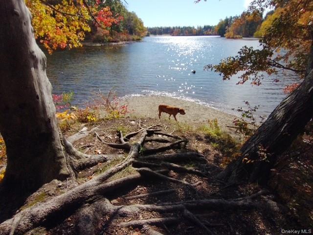 #15 photo, 7 Juniper Lane, Pawling , NY 12564