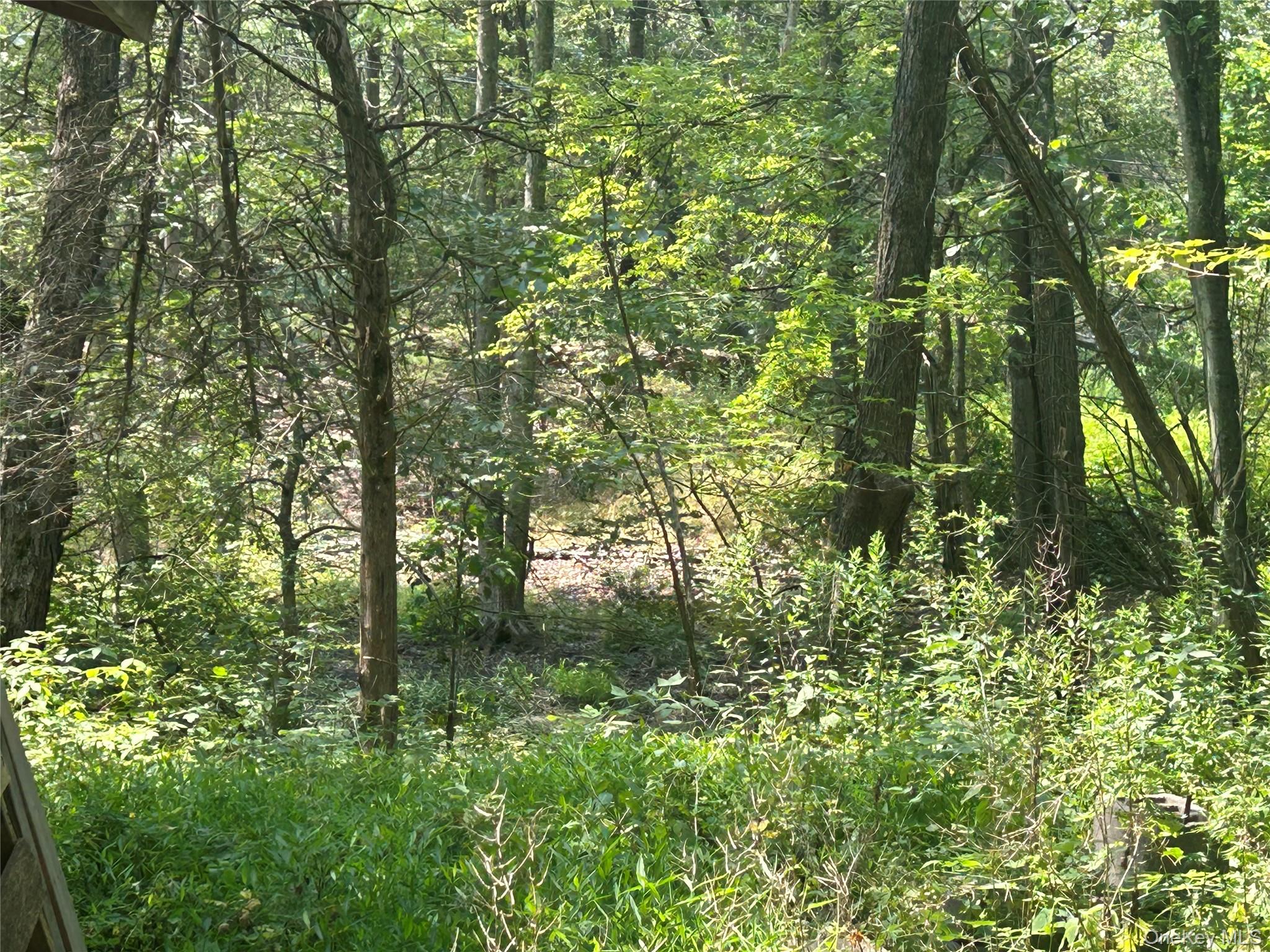 #10 photo, White Schoolhouse Road, Rhinebeck , NY 12572