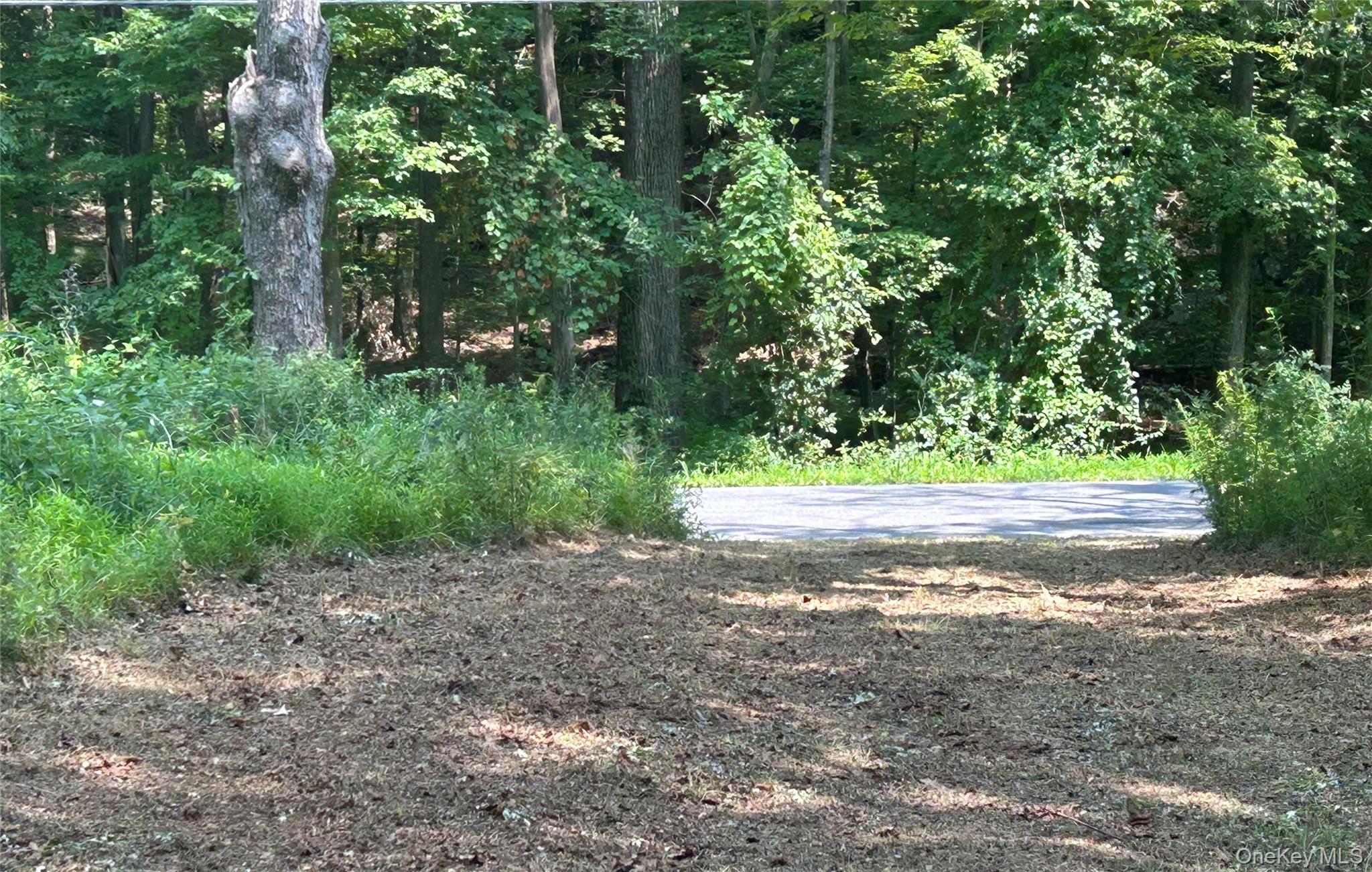 #11 photo, White Schoolhouse Road, Rhinebeck , NY 12572