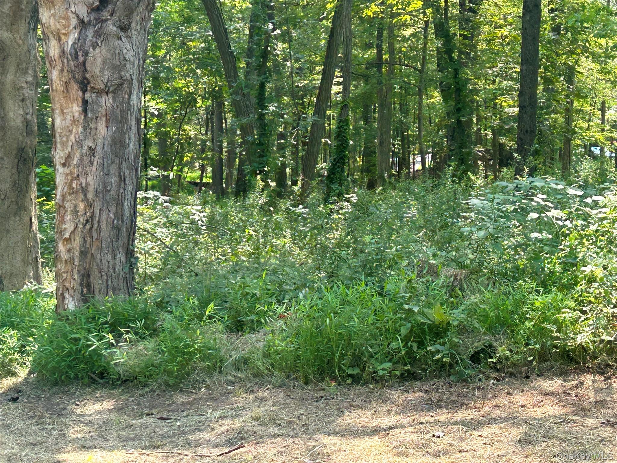 #12 photo, White Schoolhouse Road, Rhinebeck , NY 12572