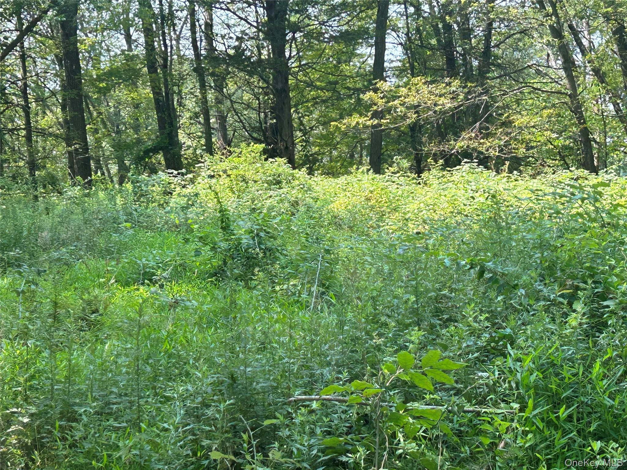 #13 photo, White Schoolhouse Road, Rhinebeck , NY 12572