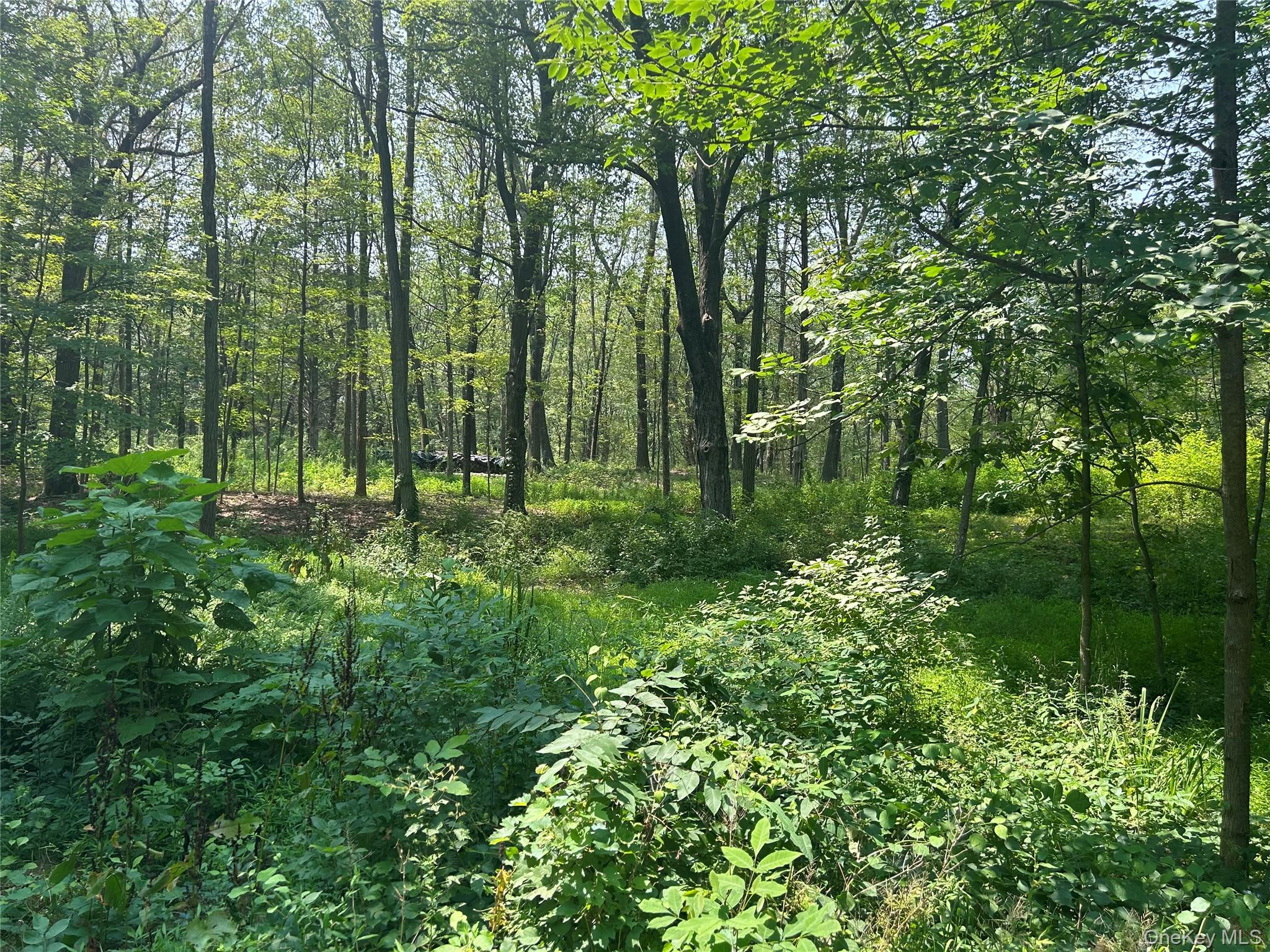 #2 photo, White Schoolhouse Road, Rhinebeck , NY 12572