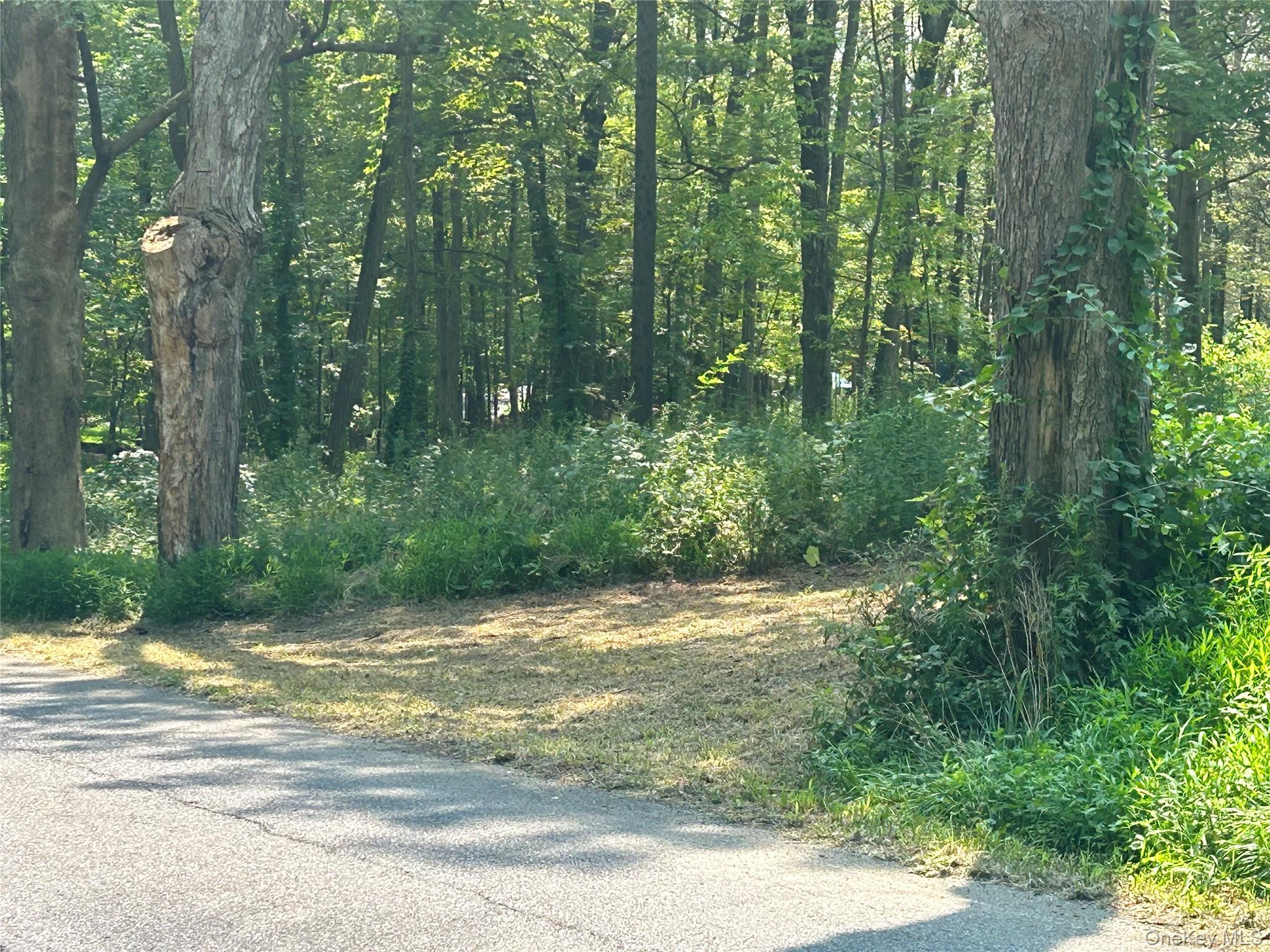 #5 photo, White Schoolhouse Road, Rhinebeck , NY 12572