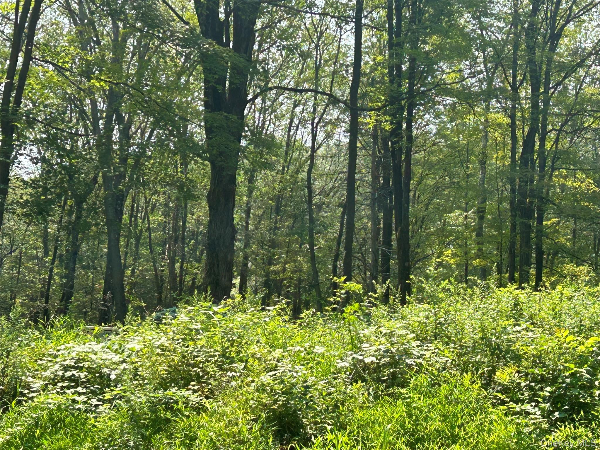 #7 photo, White Schoolhouse Road, Rhinebeck , NY 12572