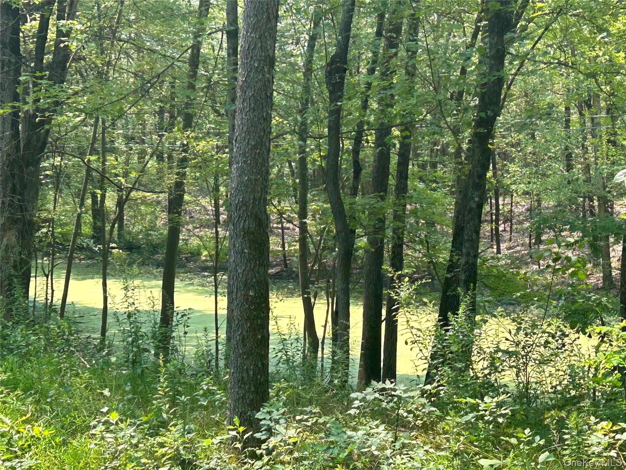 #9 photo, White Schoolhouse Road, Rhinebeck , NY 12572