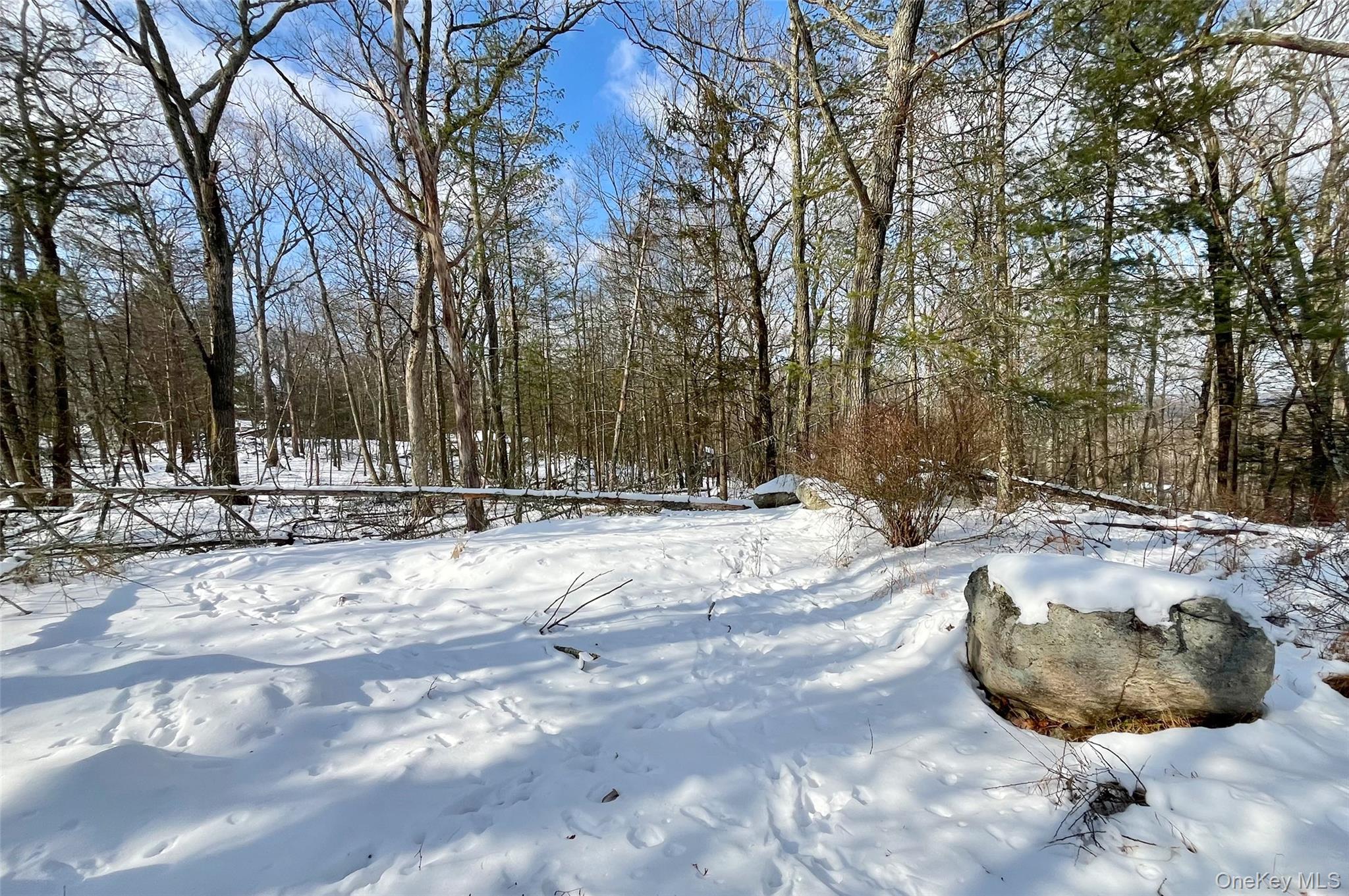 #13 photo, 12 Deer Path Road, Tuxedo Park , NY 10987