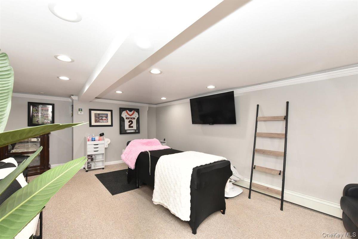 #20 photo, 3 Berryhill Lane, Bethpage , NY 11714