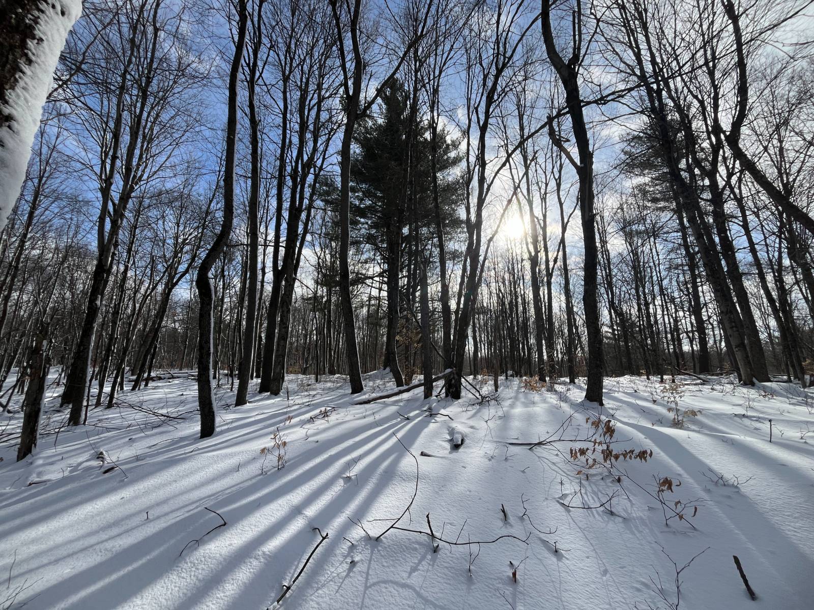 #10 photo, 00 Lafaver Rd, #6, Hermon , NY 13652