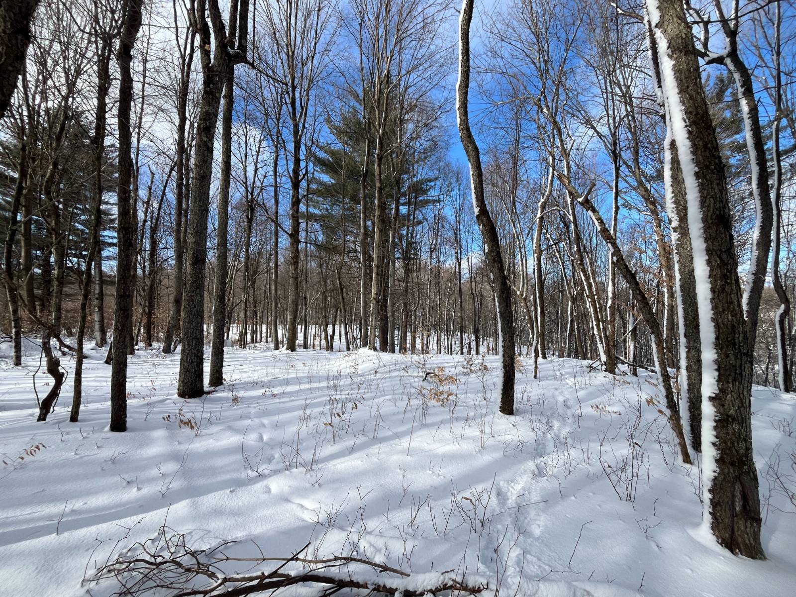 #11 photo, 00 Lafaver Rd, #6, Hermon , NY 13652