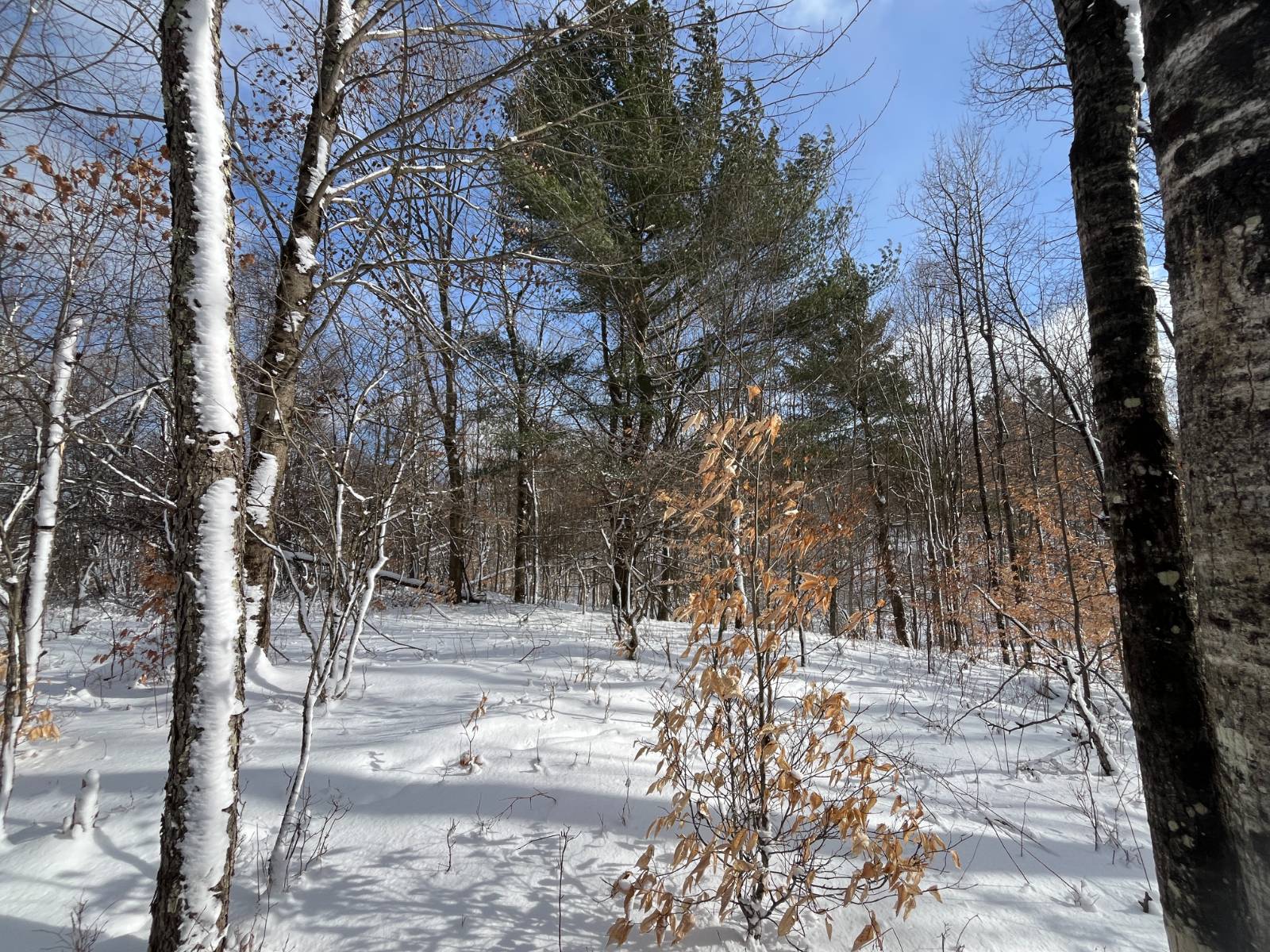 #13 photo, 00 Lafaver Rd, #6, Hermon , NY 13652