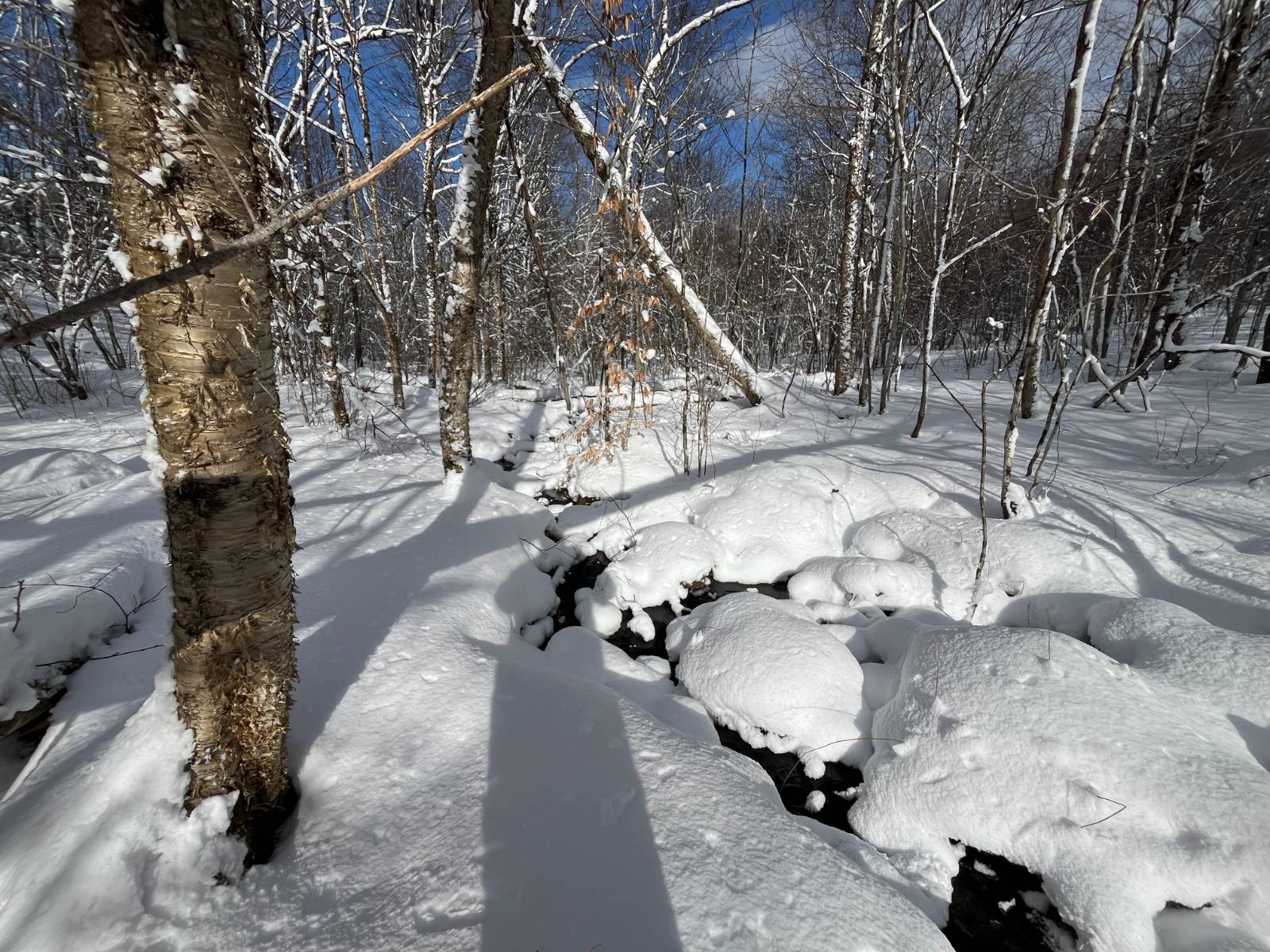 #14 photo, 00 Lafaver Rd, #6, Hermon , NY 13652