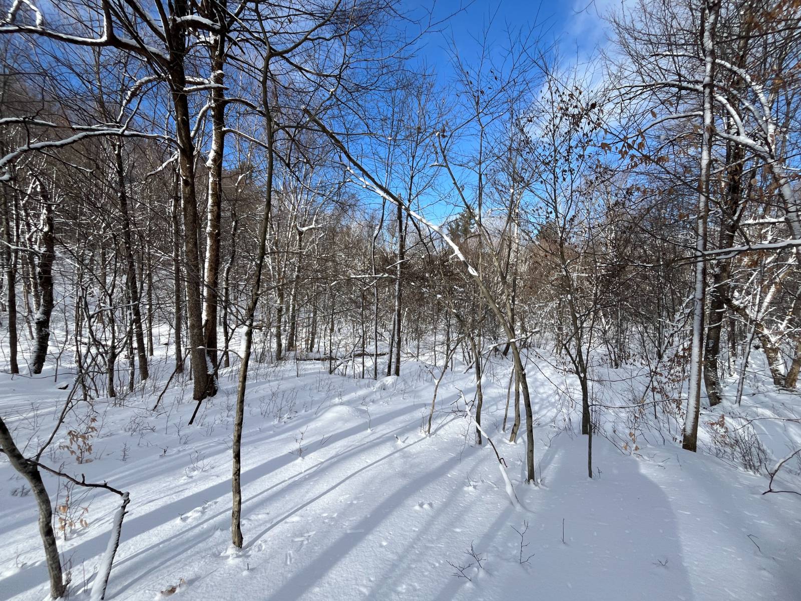 #15 photo, 00 Lafaver Rd, #6, Hermon , NY 13652