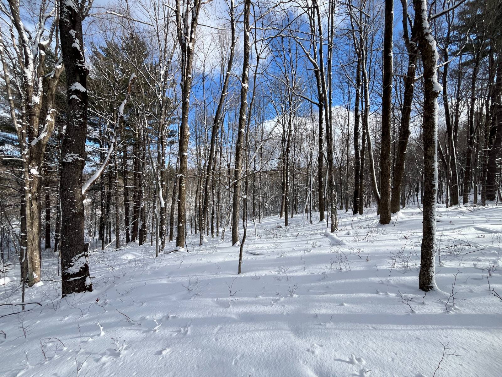 #3 photo, 00 Lafaver Rd, #6, Hermon , NY 13652