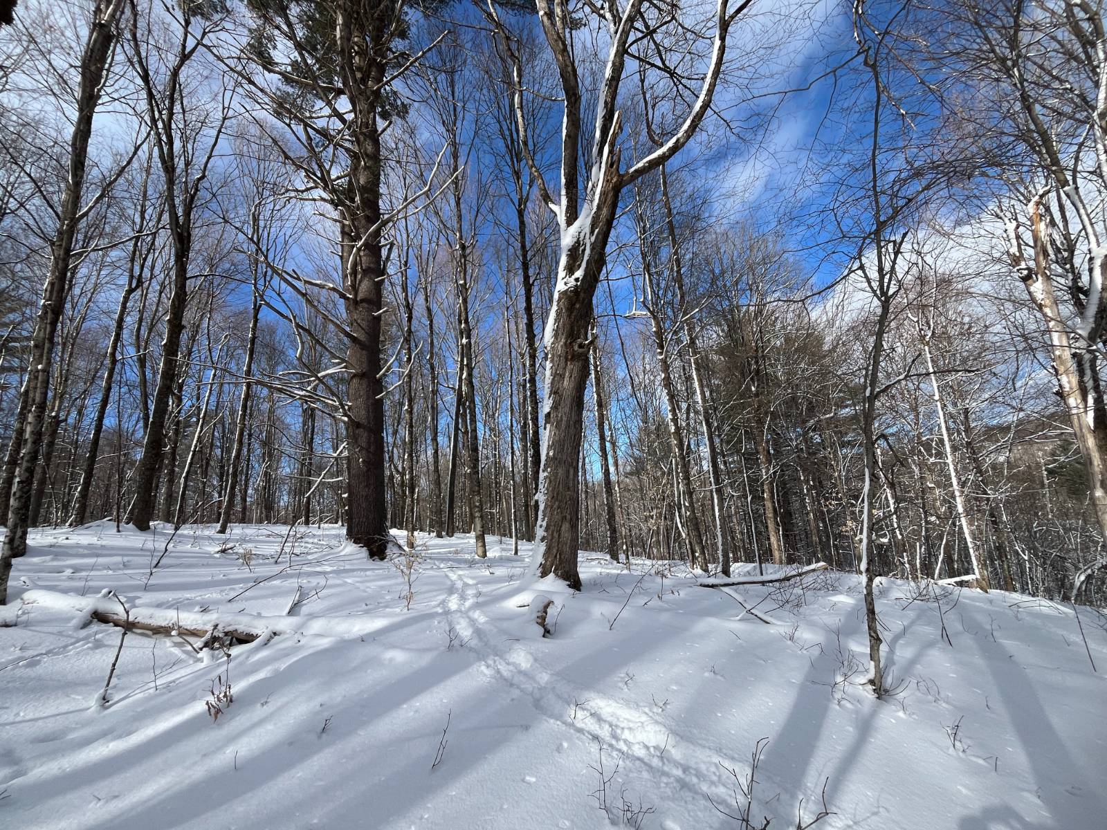 #9 photo, 00 Lafaver Rd, #6, Hermon , NY 13652