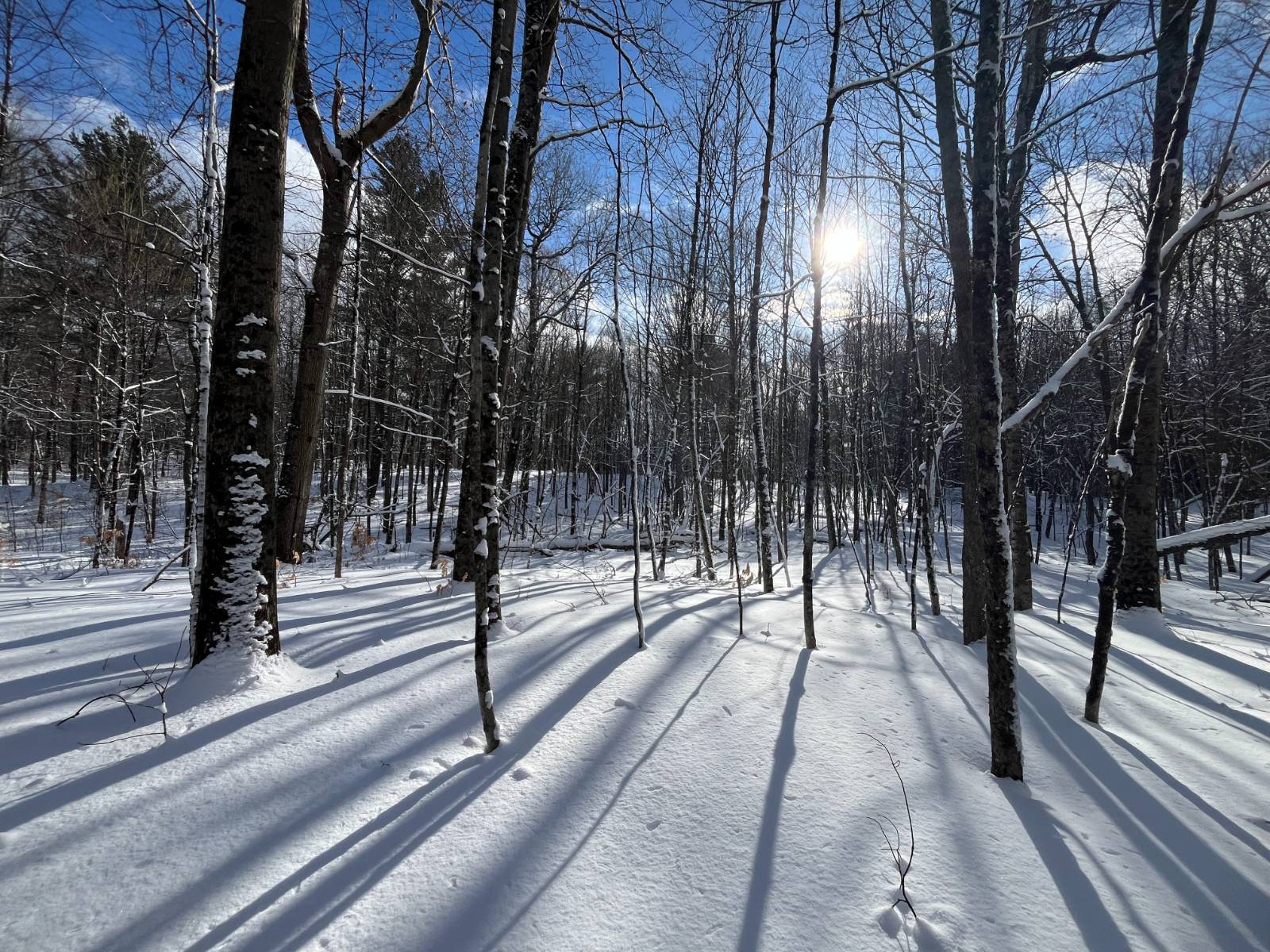 #1 photo, 00 Lafaver Rd, #7, Hermon , NY 13652