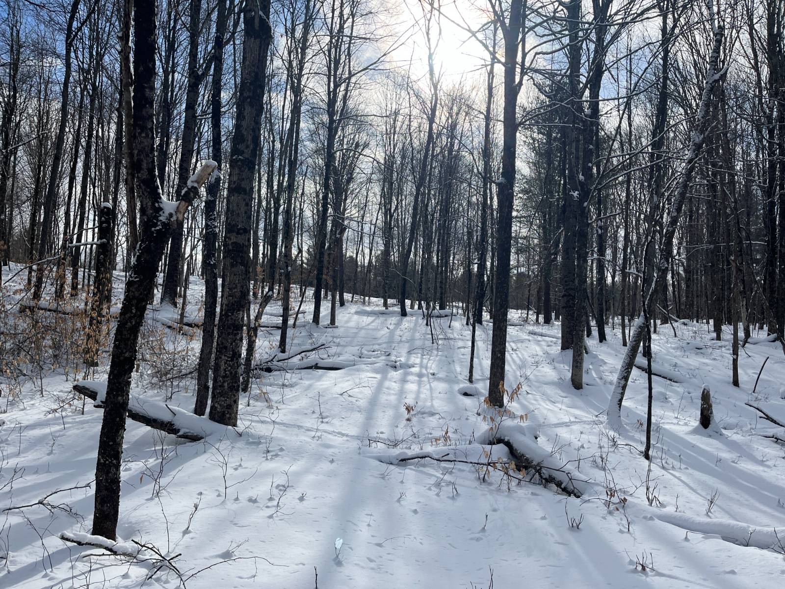 #10 photo, 00 Lafaver Rd, #7, Hermon , NY 13652