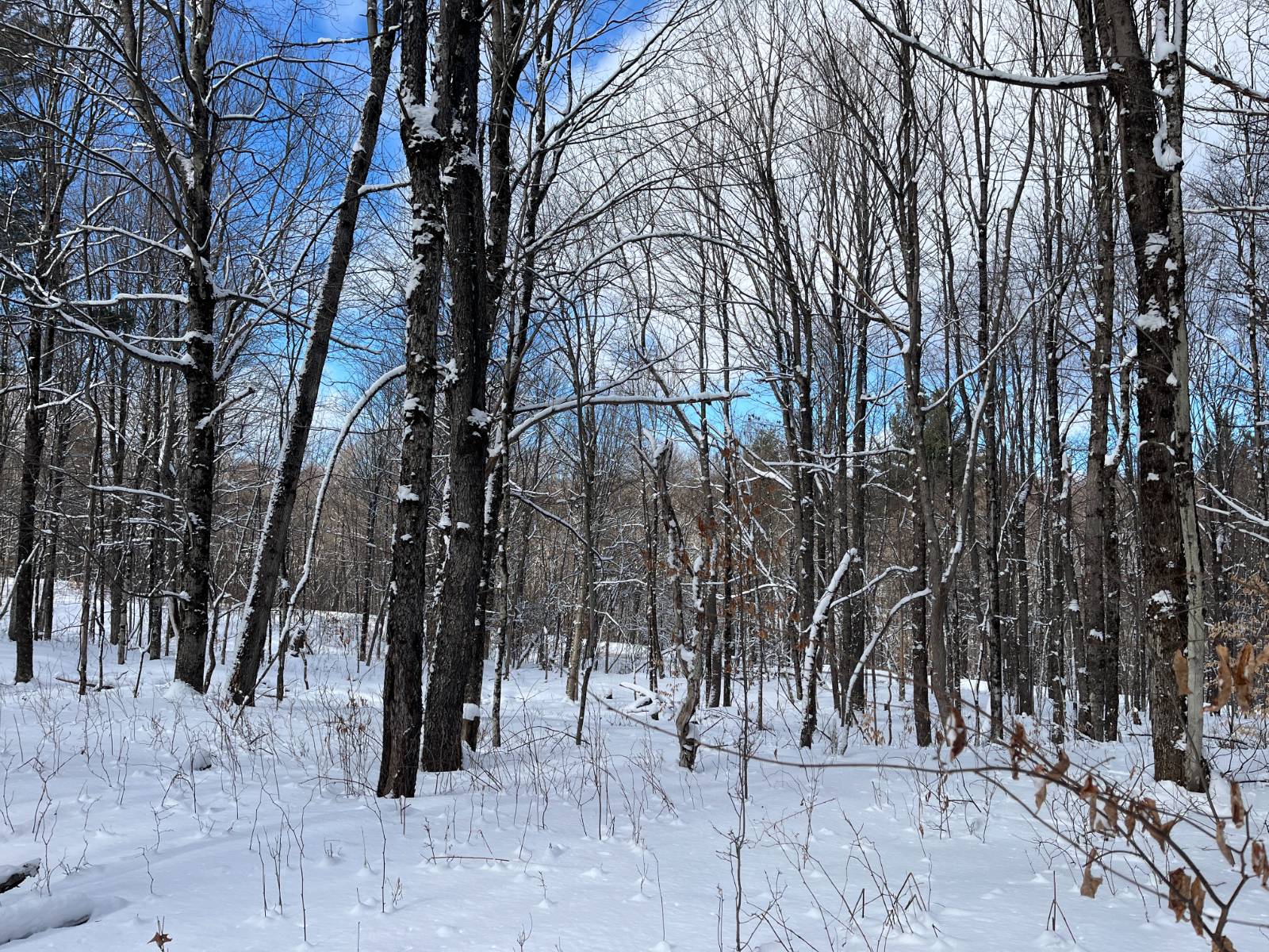 #11 photo, 00 Lafaver Rd, #7, Hermon , NY 13652