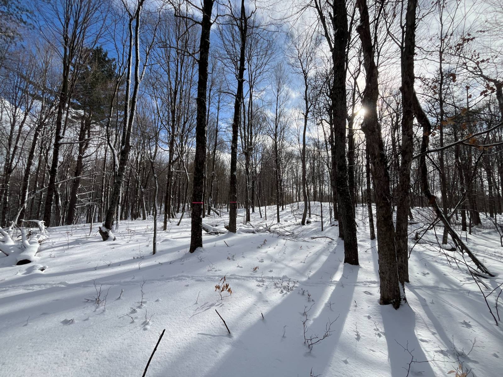 #13 photo, 00 Lafaver Rd, #7, Hermon , NY 13652