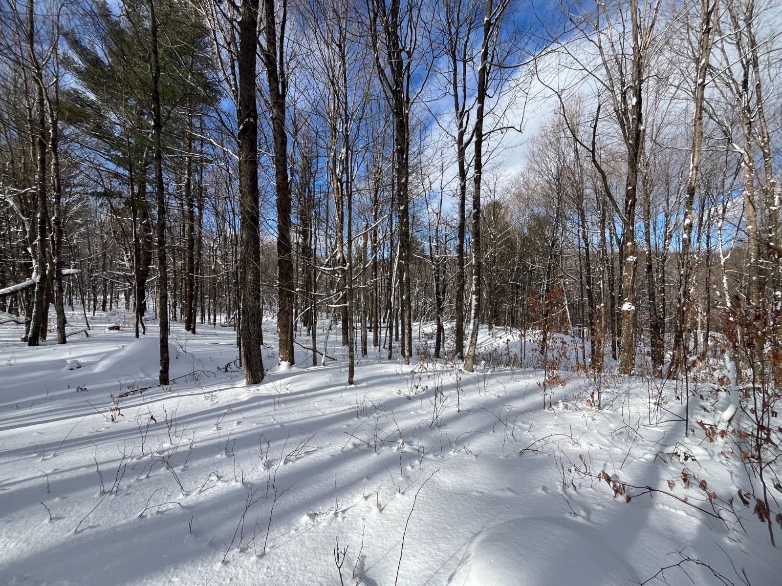 #2 photo, 00 Lafaver Rd, #7, Hermon , NY 13652