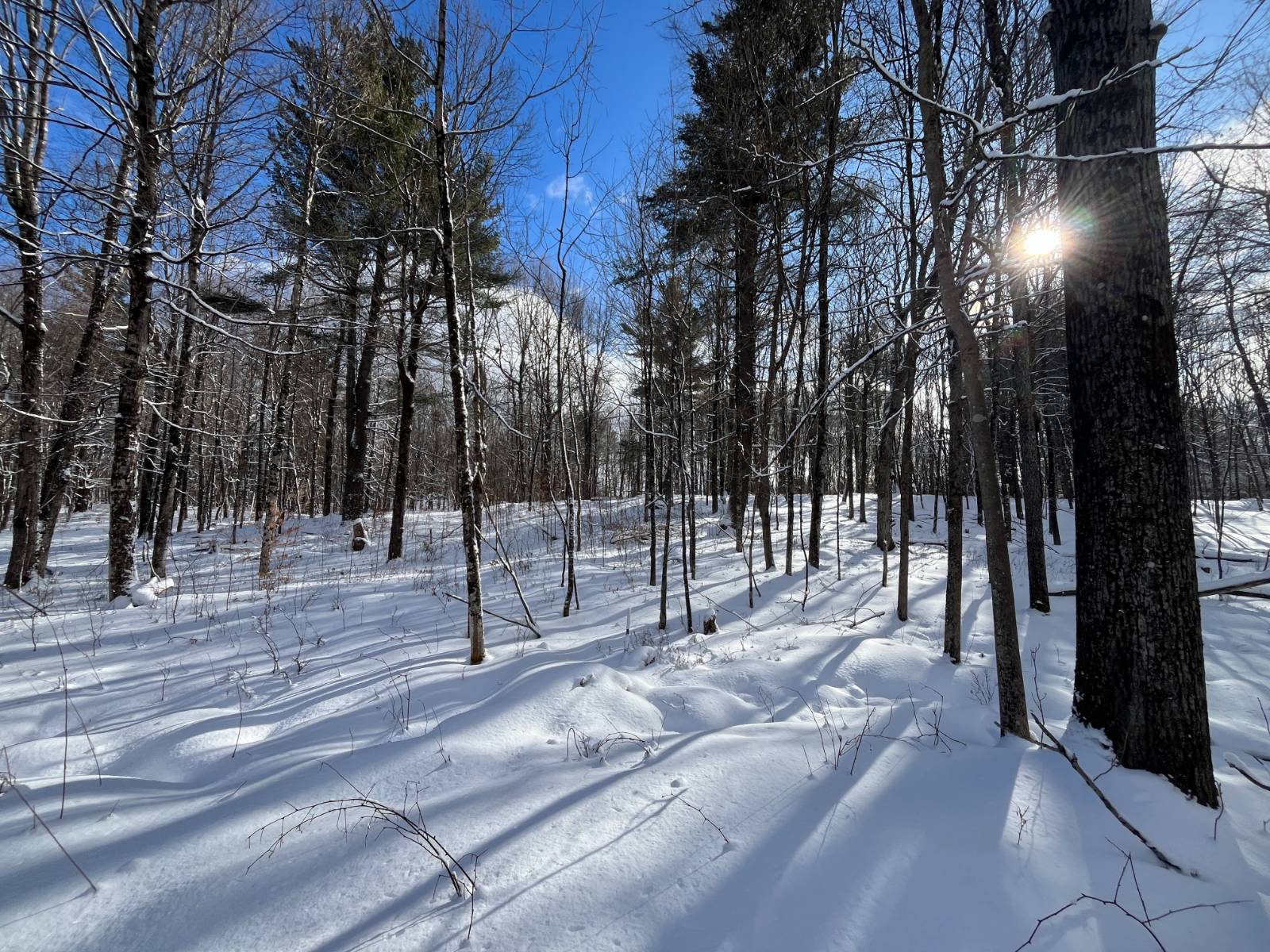 #3 photo, 00 Lafaver Rd, #7, Hermon , NY 13652