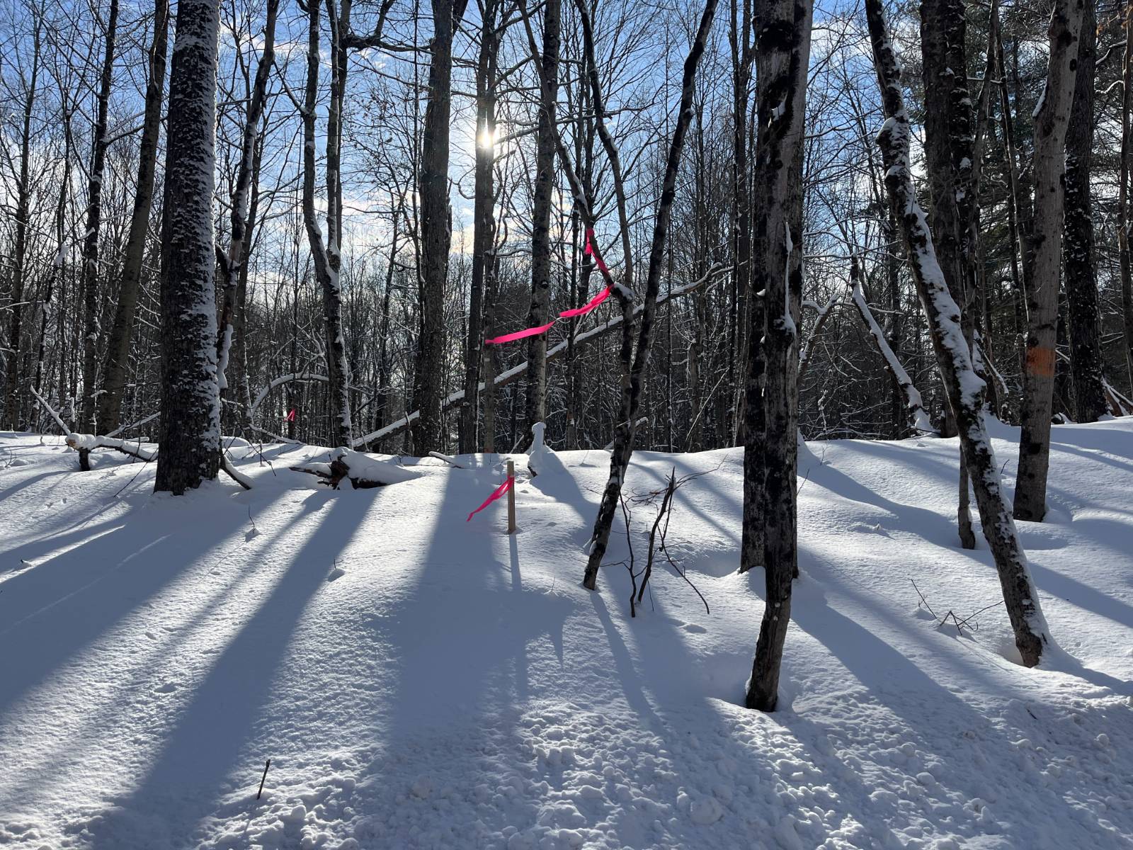 #7 photo, 00 Lafaver Rd, #7, Hermon , NY 13652