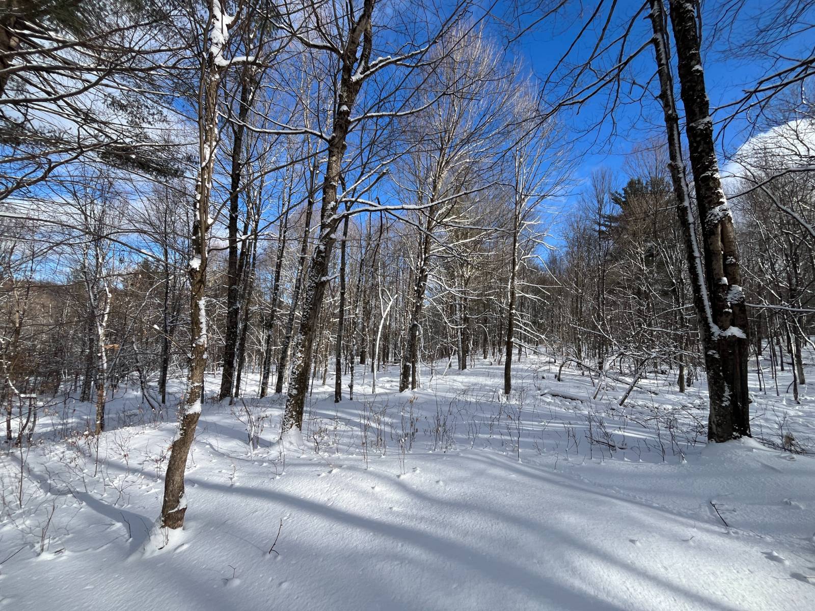 #8 photo, 00 Lafaver Rd, #7, Hermon , NY 13652