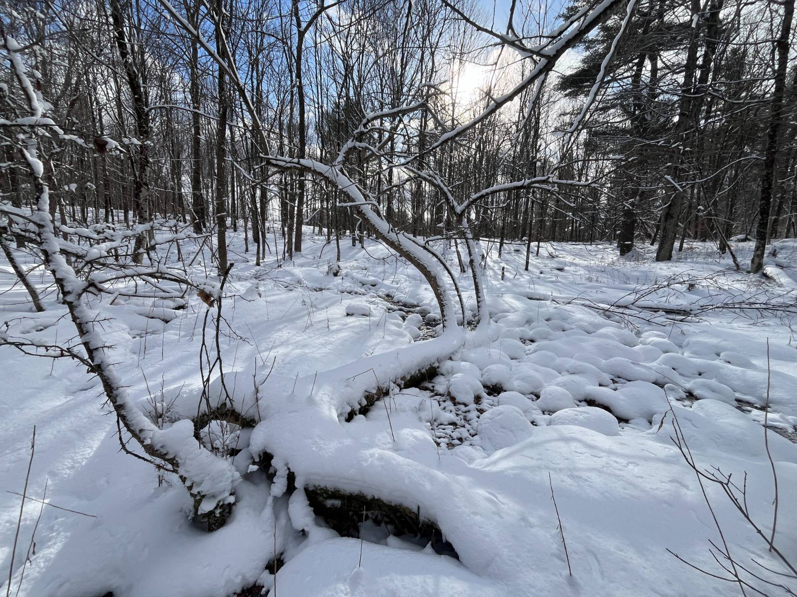 #9 photo, 00 Lafaver Rd, #7, Hermon , NY 13652