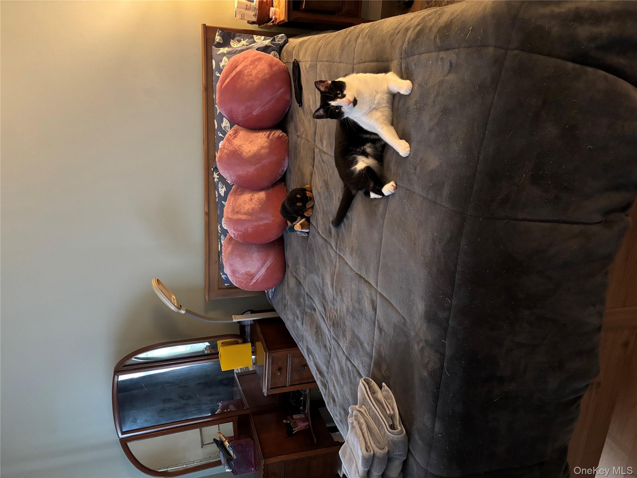 #10 photo, 678 Sierra Vista Lane, 纽约州 Valley Cottage , NY 10989