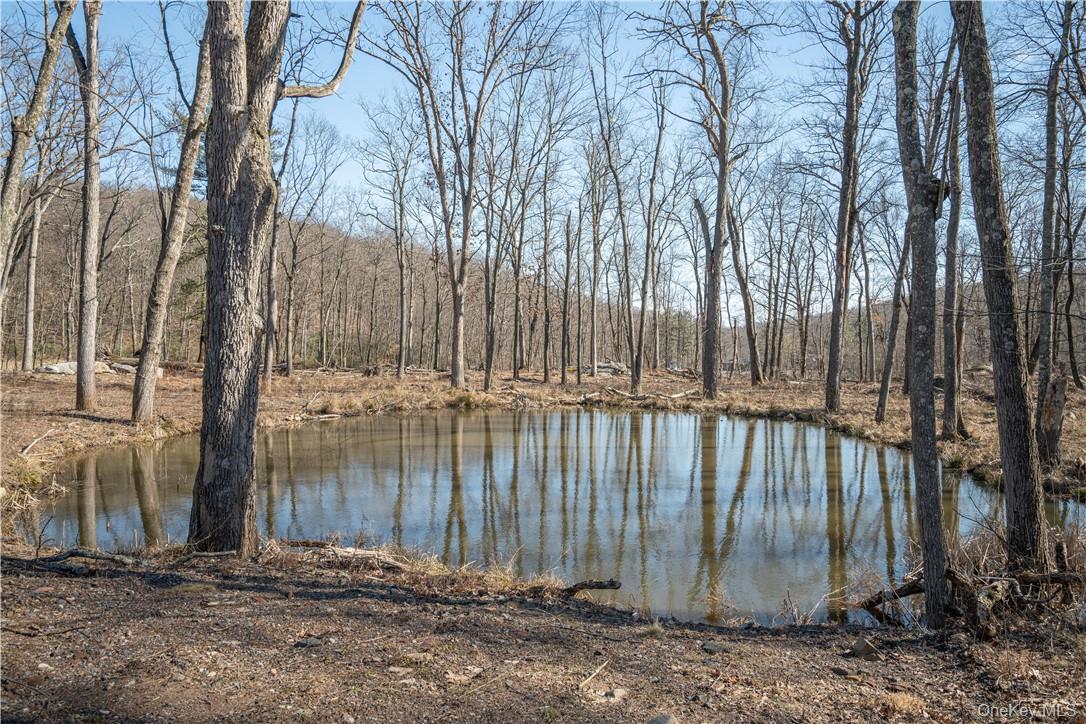 #2 photo, 56 Benjamin Meadow Road, Tuxedo Park , NY 10987