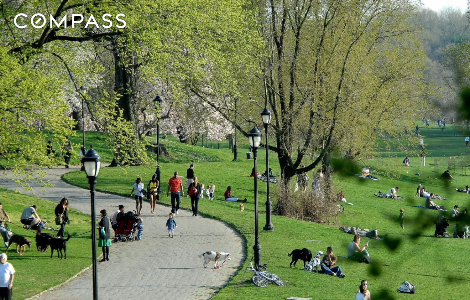 #9 photo, 135 Eastern Parkway, Prospect Heights , NY 11238