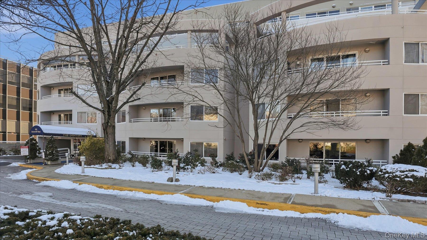 #1 photo, 100 Cuttermill Road, Great Neck , NY 11021