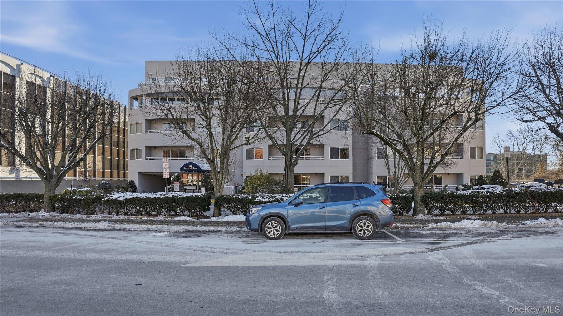 #2 photo, 100 Cuttermill Road, Great Neck , NY 11021