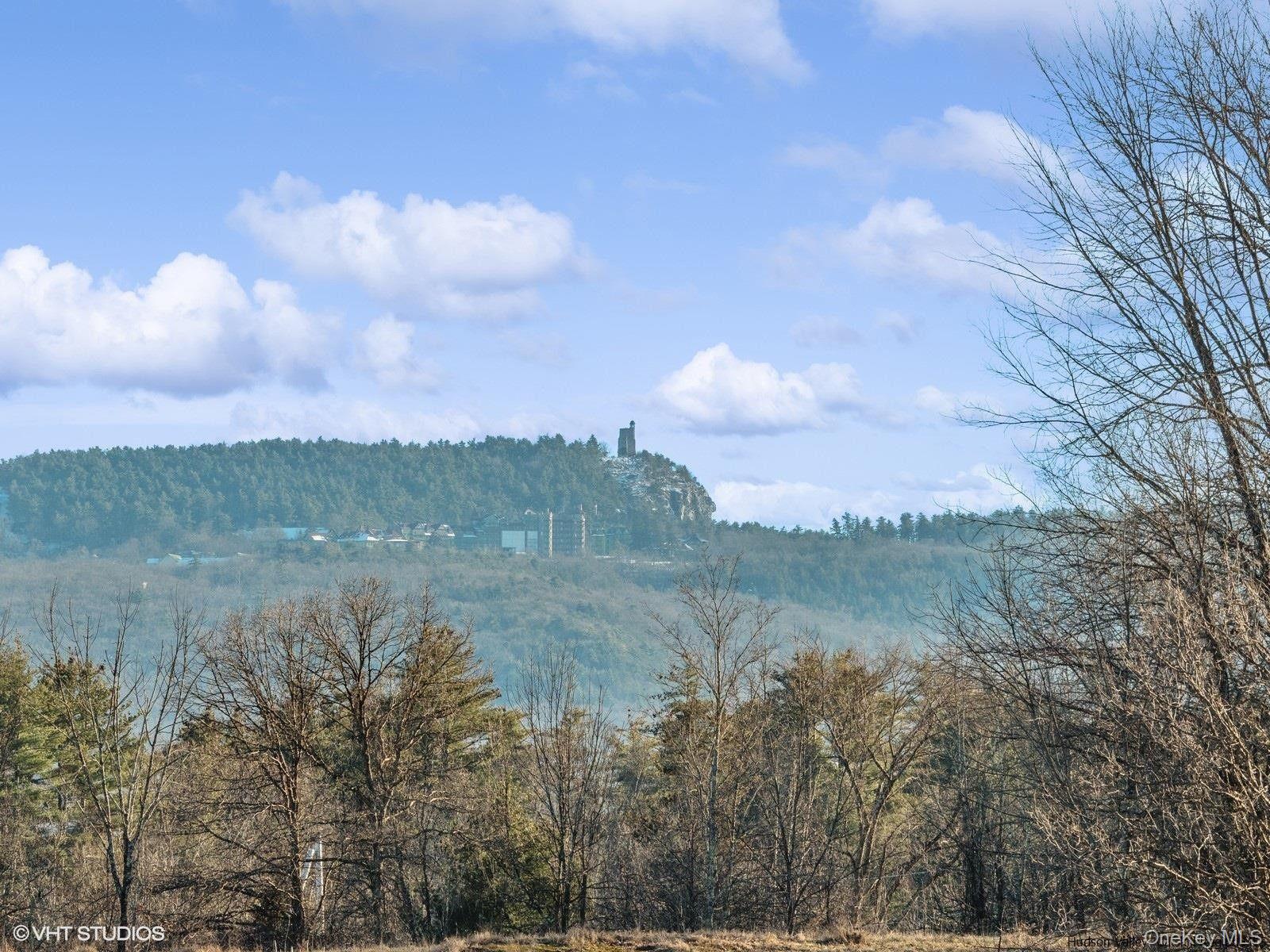 #3 photo, 29 Rest Plaus Road, Stone Ridge , NY 12484