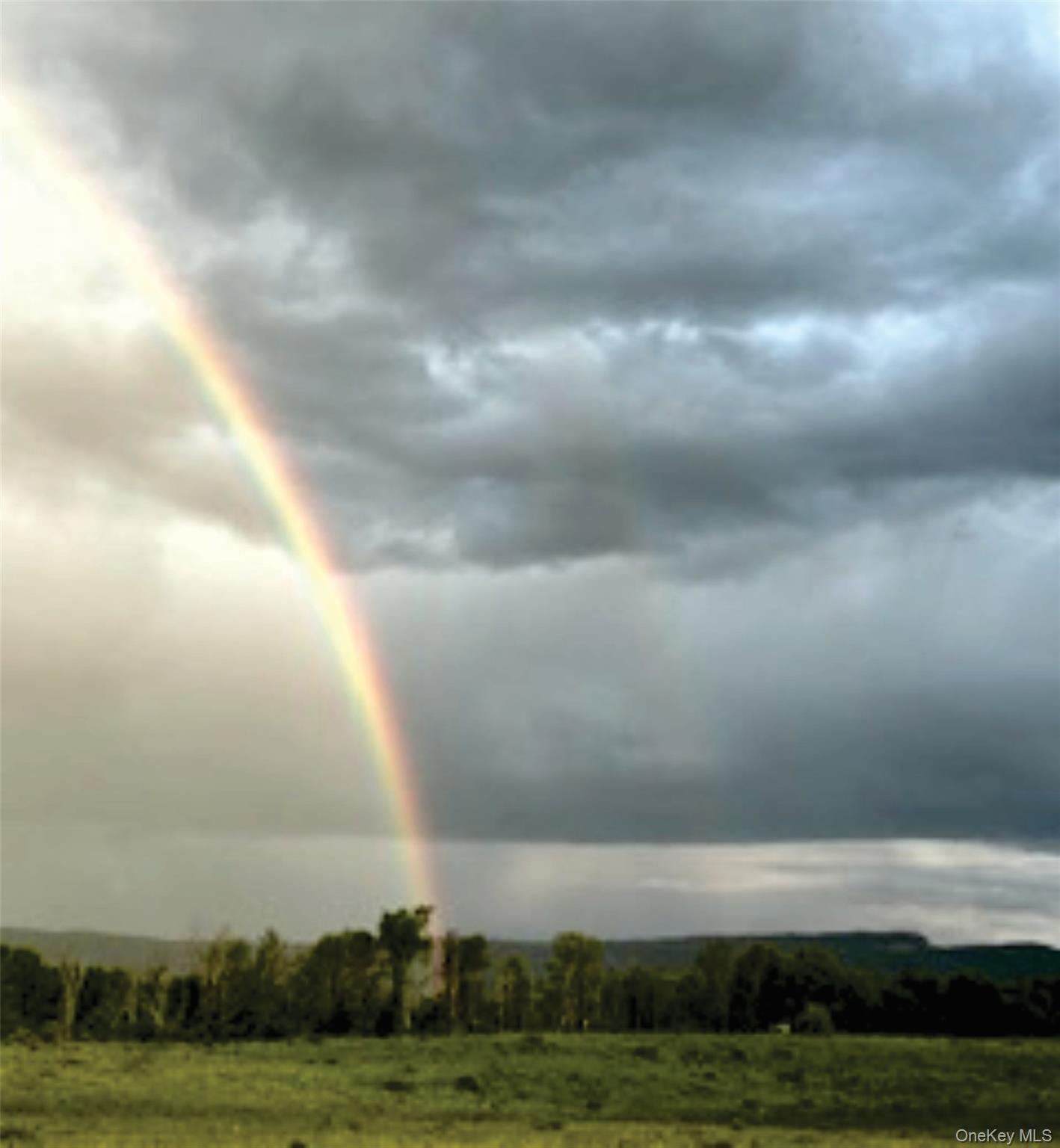 #4 photo, 29 Rest Plaus Road, Stone Ridge , NY 12484