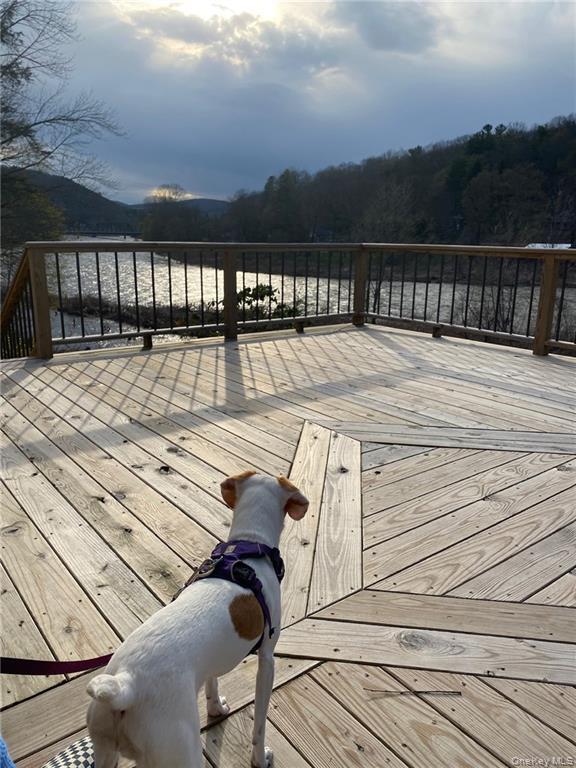 #5 photo, 455 Peas Eddy Road, Hancock , NY 13783