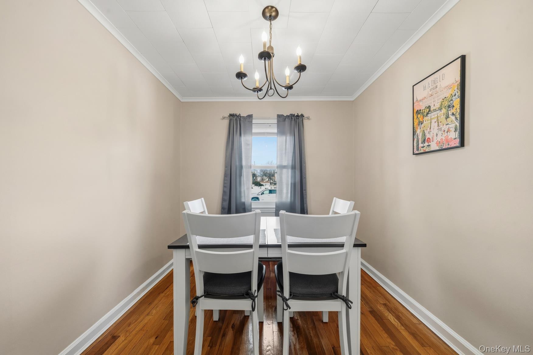 #2 photo, 169 Wilton Street, New Hyde Park , NY 11040