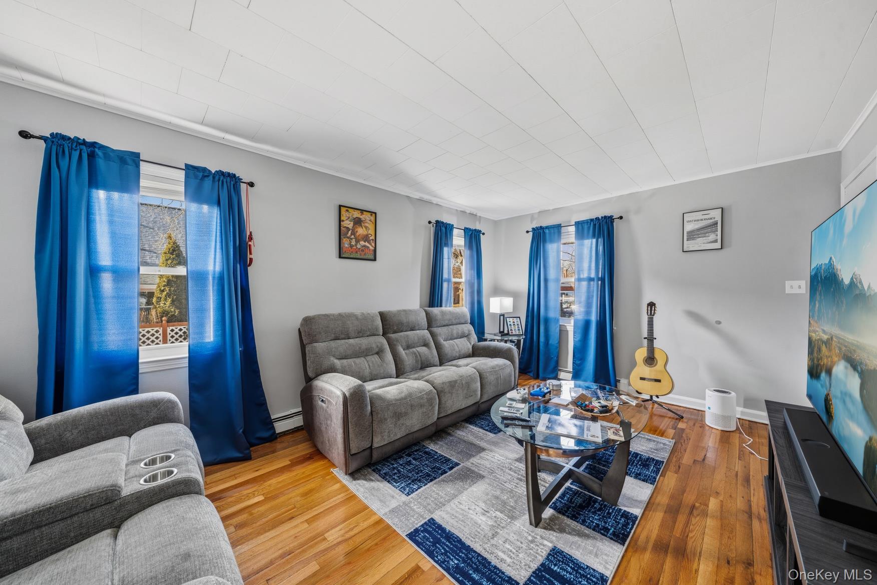 #3 photo, 169 Wilton Street, New Hyde Park , NY 11040