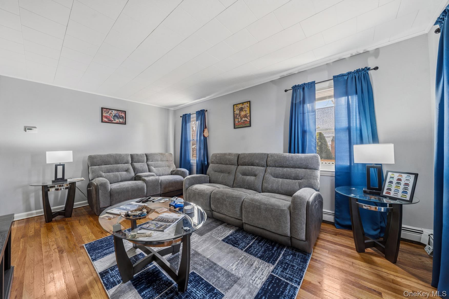 #6 photo, 169 Wilton Street, New Hyde Park , NY 11040