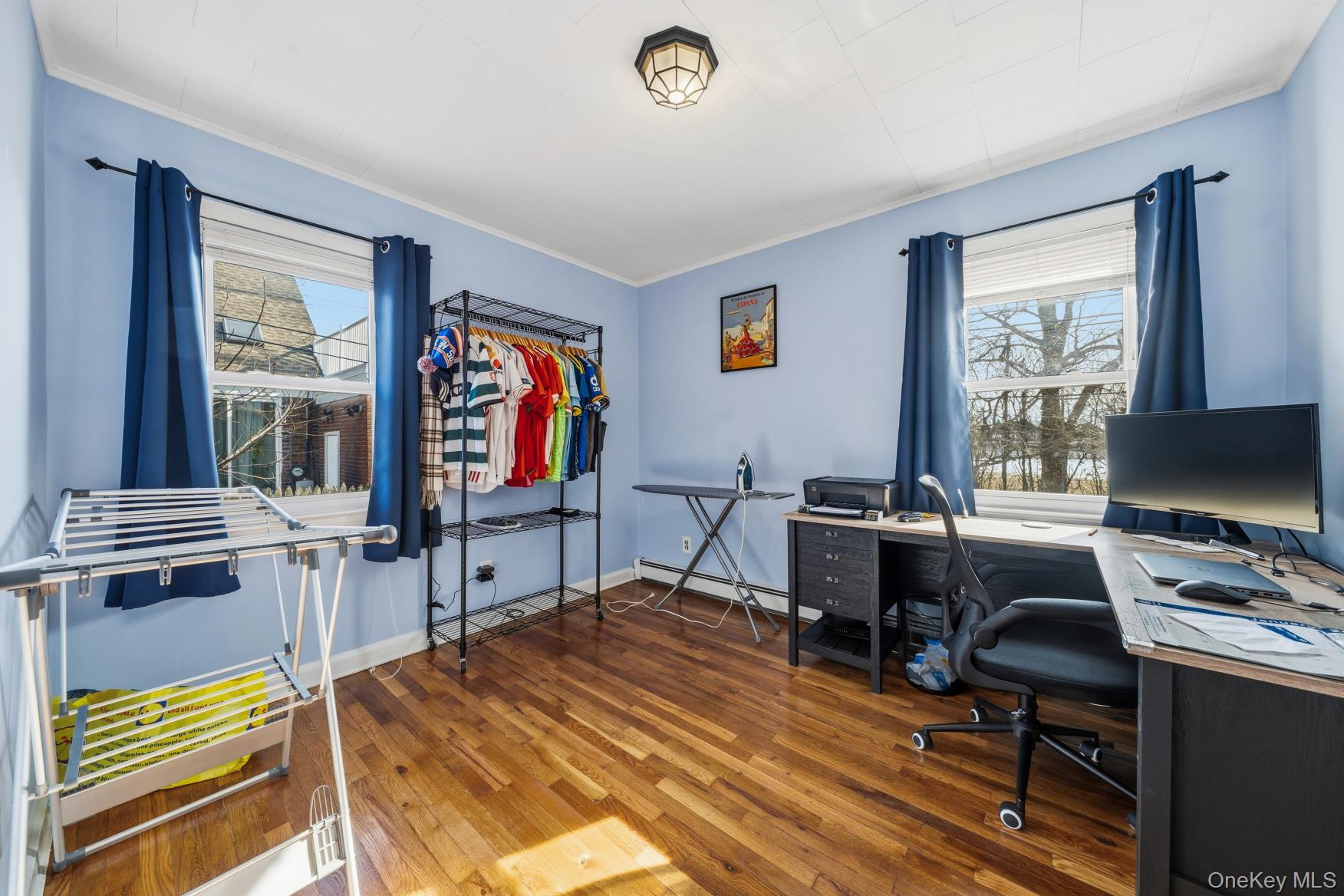 #8 photo, 169 Wilton Street, New Hyde Park , NY 11040