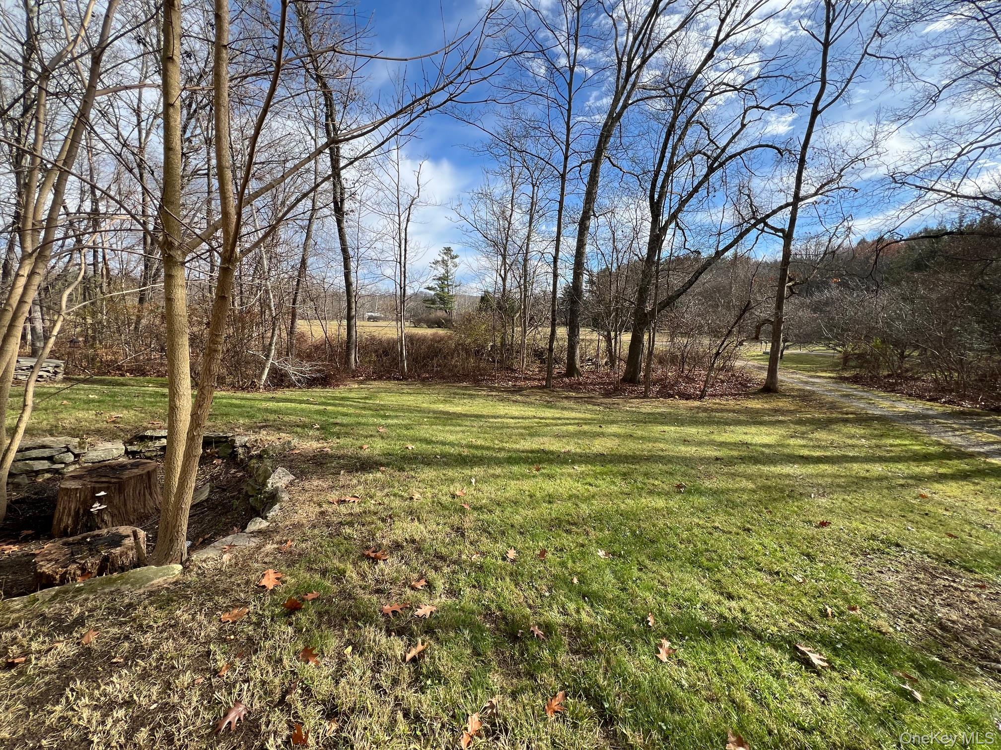 #8 photo, 22 Troutbeck Crescent, Amenia , NY 12501