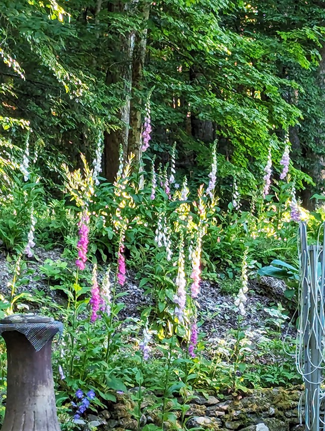 #30 photo, 676 Co Hwy 35, Maryland , NY 12116