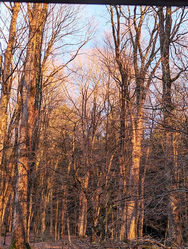 #34 photo, 676 Co Hwy 35, Maryland , NY 12116