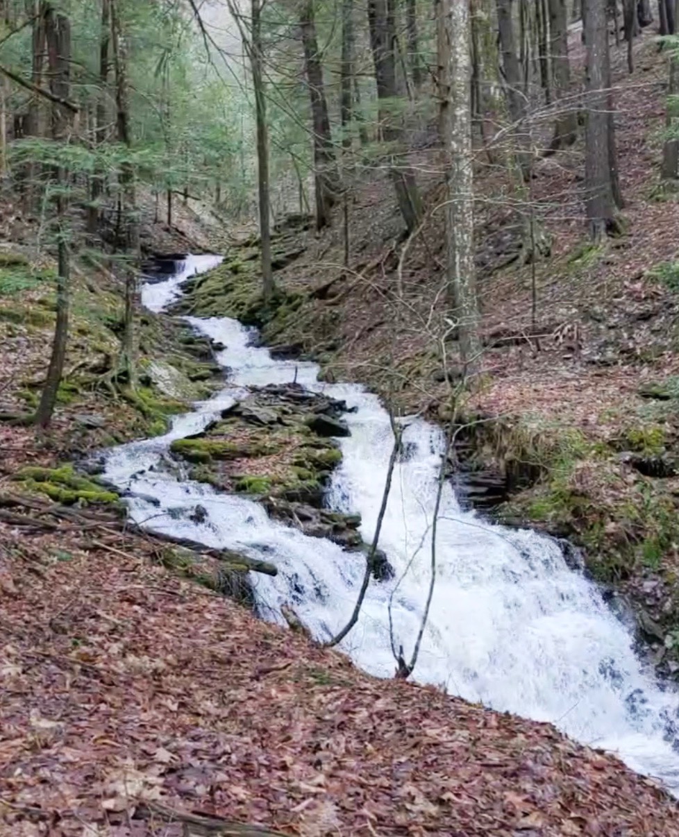 #35 photo, 676 Co Hwy 35, Maryland , NY 12116