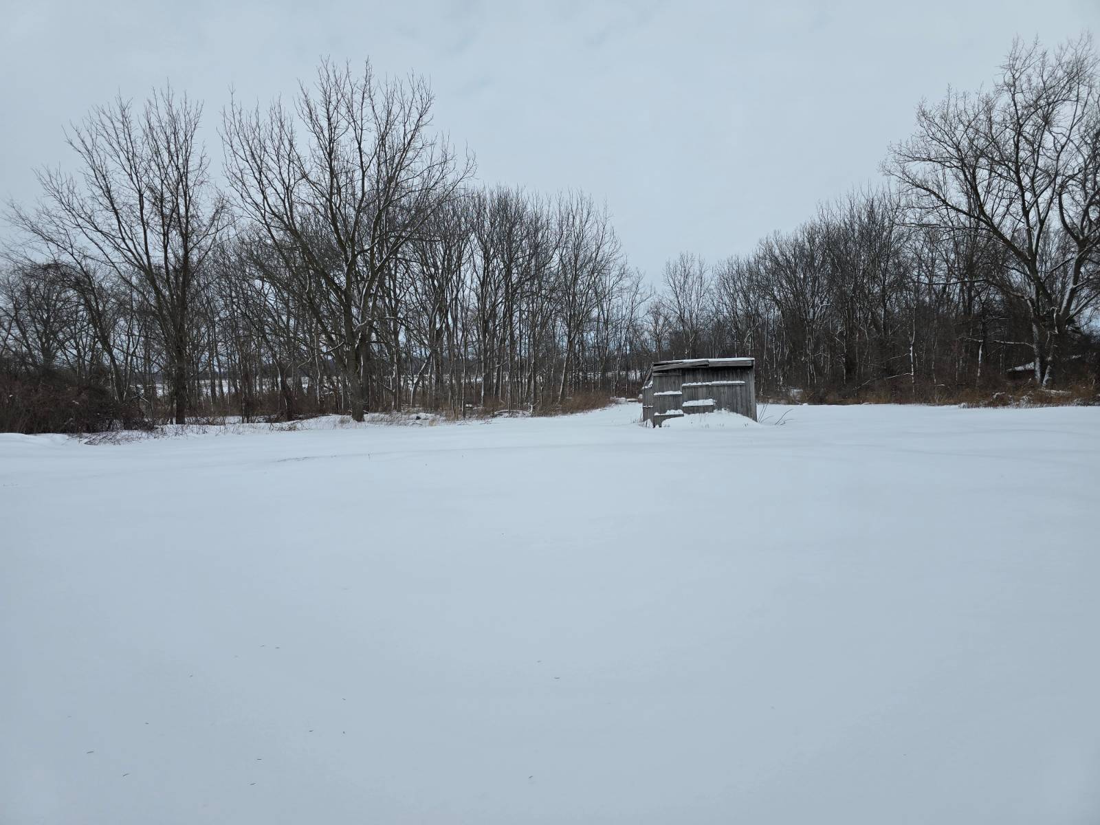 #5 photo, 3751 Batavia-Elba Townline Rd, Oakfield , NY 14125