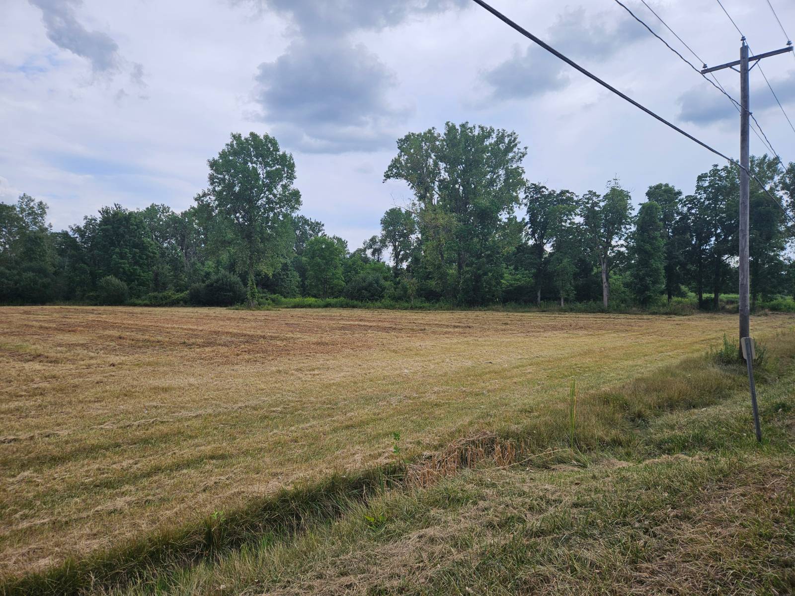 #2 photo, 00 Maple Road, Newstead , NY 14001